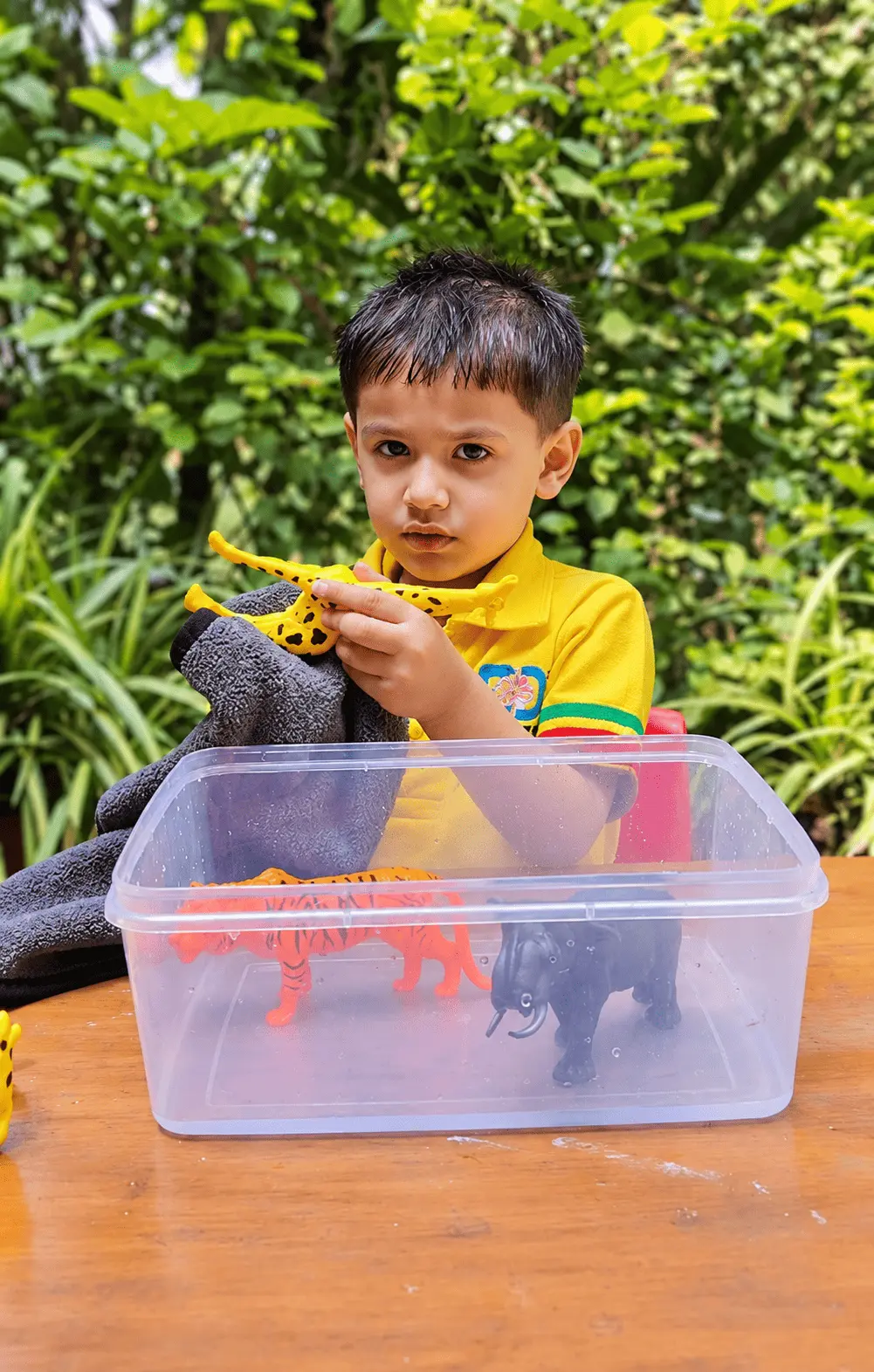 Learning and activities at Brain Discovery Global School