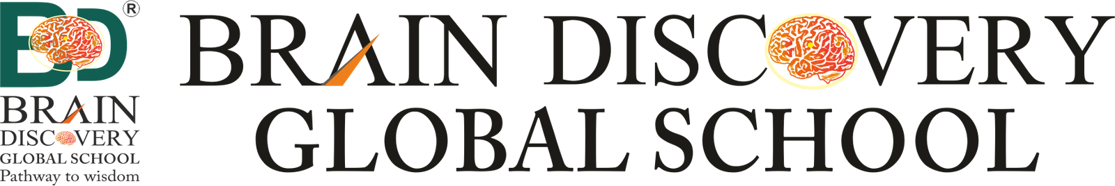 Brain Discovery Global School