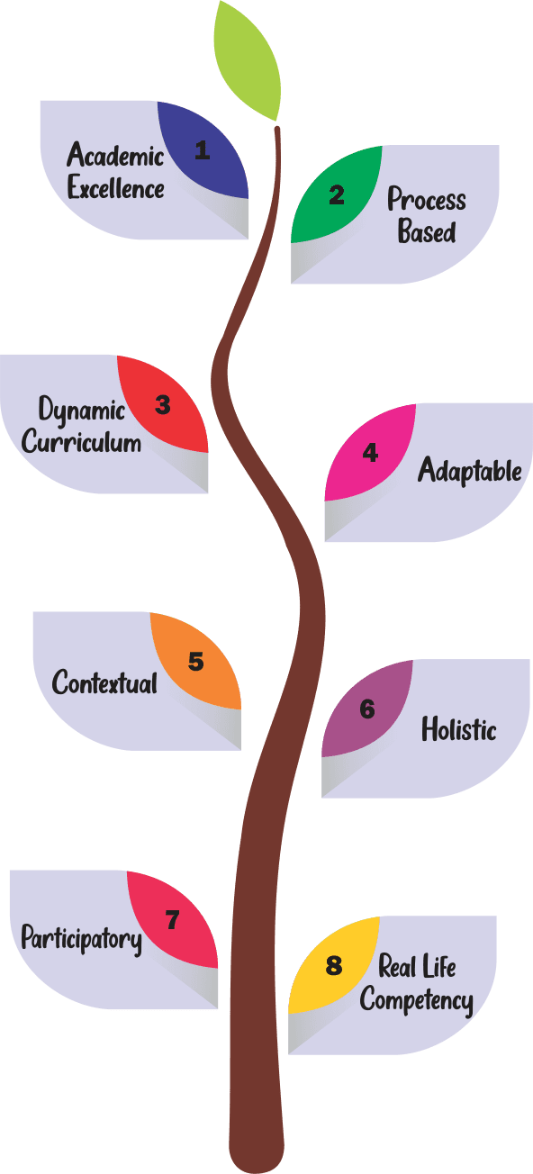 Brain Discovery Global School Curriculum tree